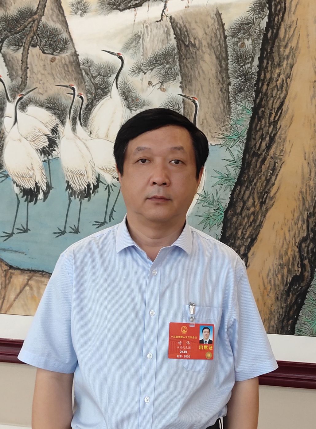 2.全国人大代表、中国科学院院士、博鱼（中国）副总经理杨伟